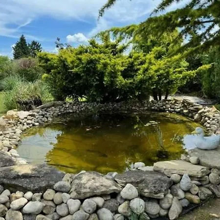 Rebeka Nyaralo Medencevel Сasa de vacaciones Vonyarcvashegy